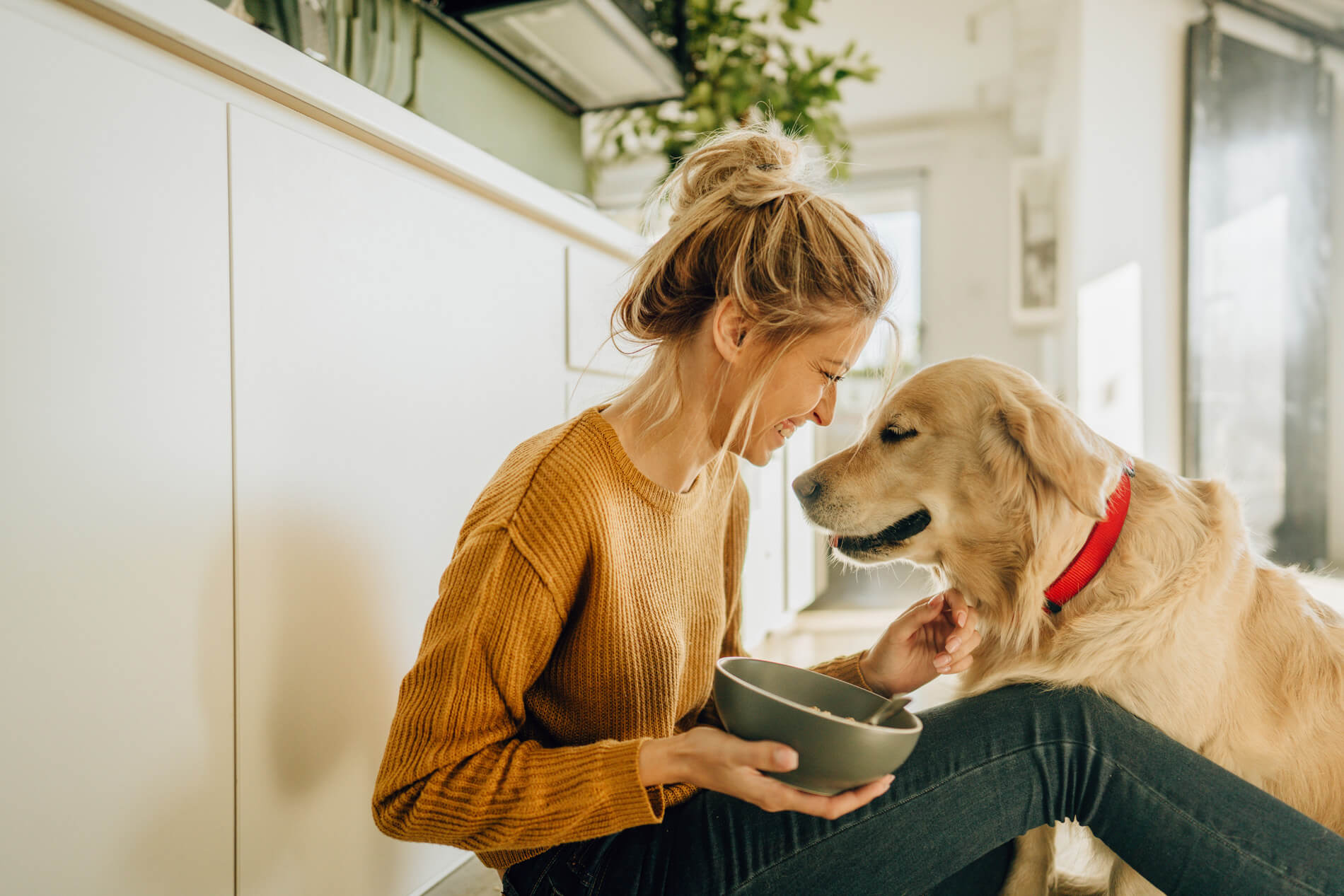 Woman sitting on the ground petting a dog