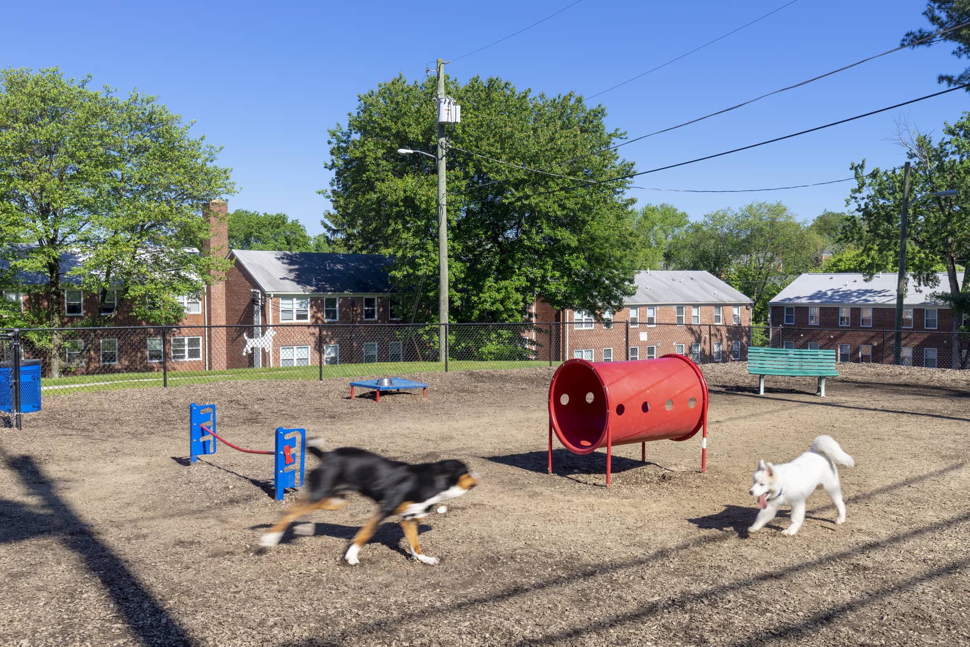 Photos and Tours of Rodgers Towson MD