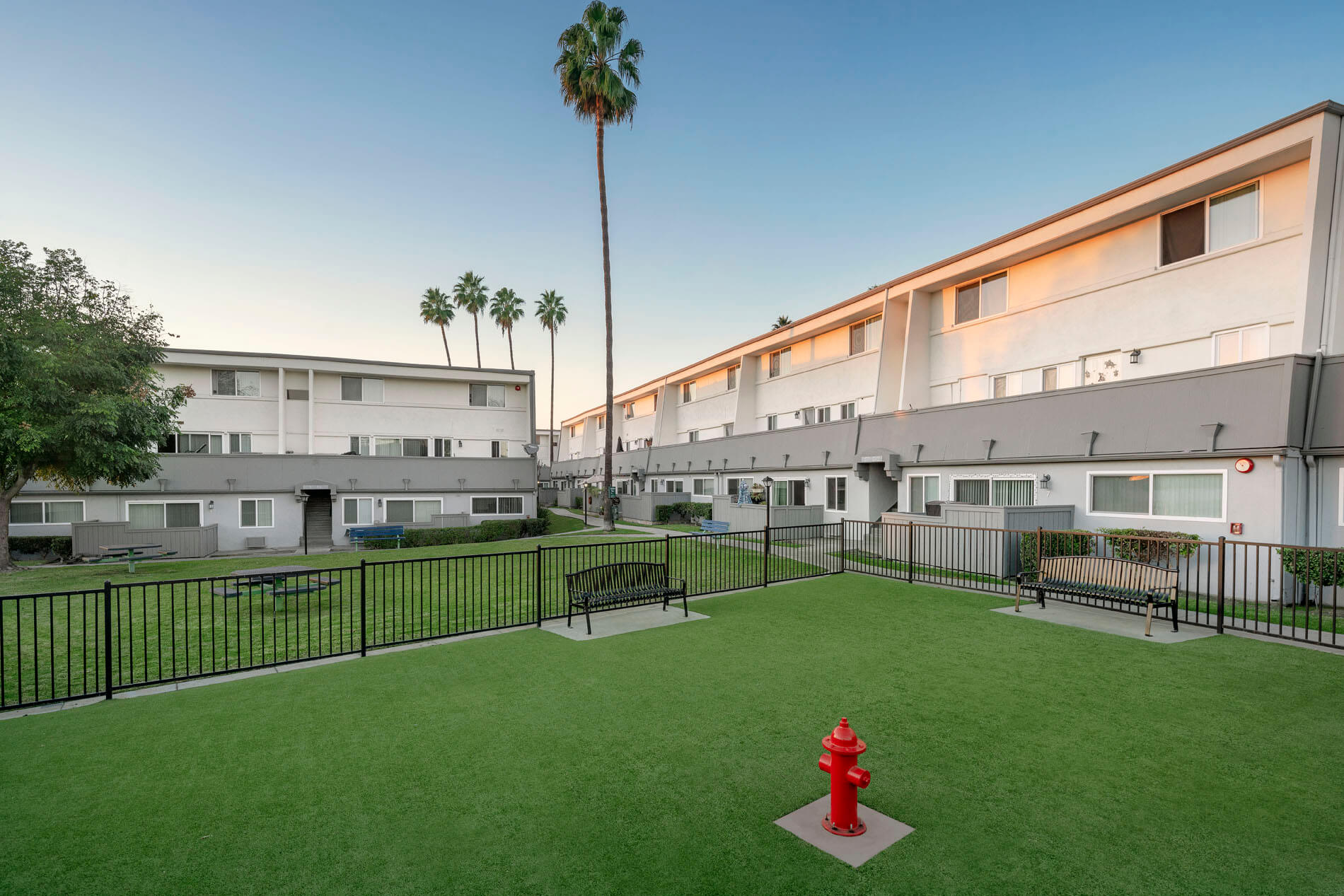 Rosebeach Apartments Dog Park