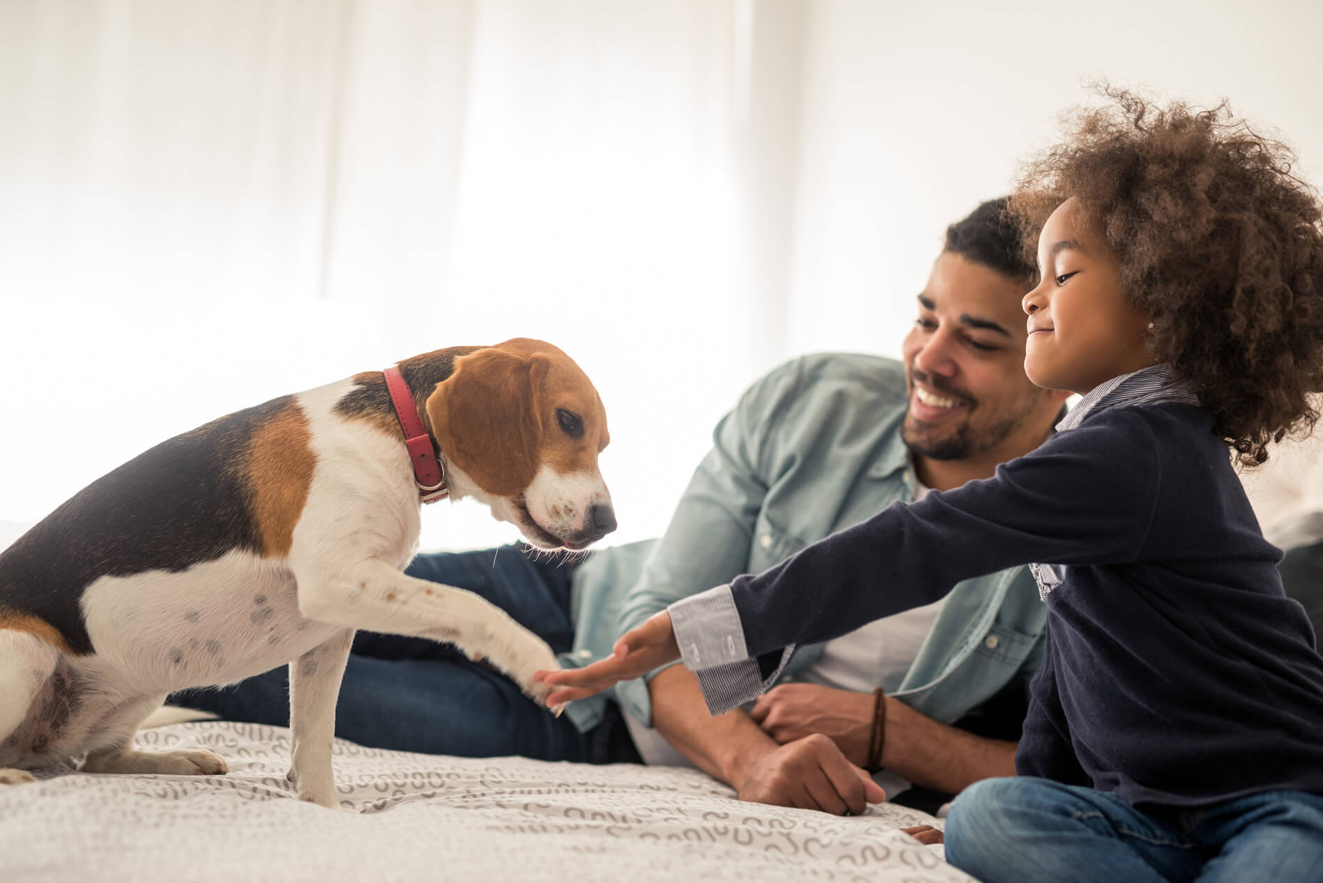 People sitting on the floor with a dog