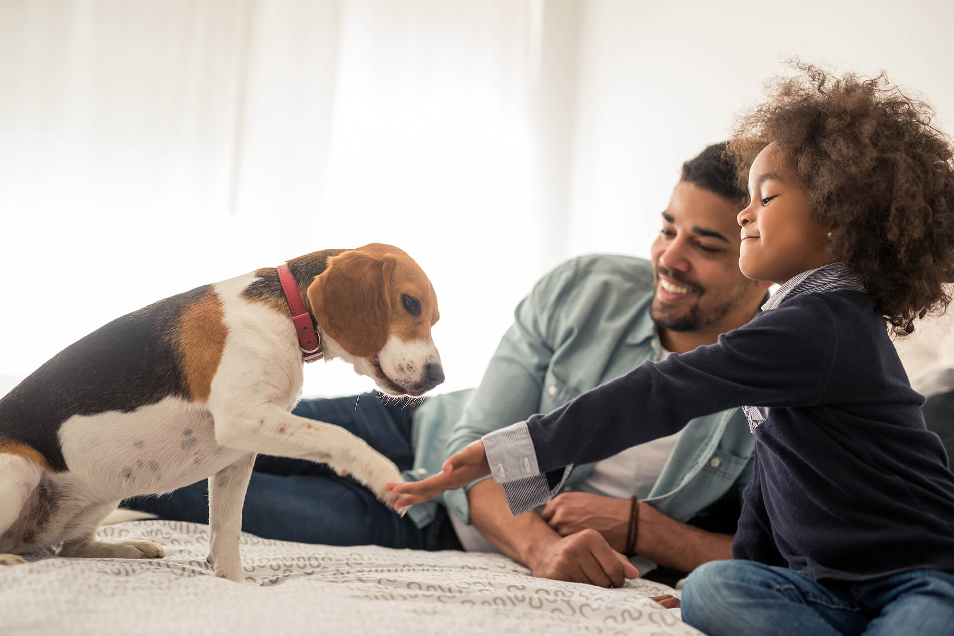 Father and child playing with dog on bed