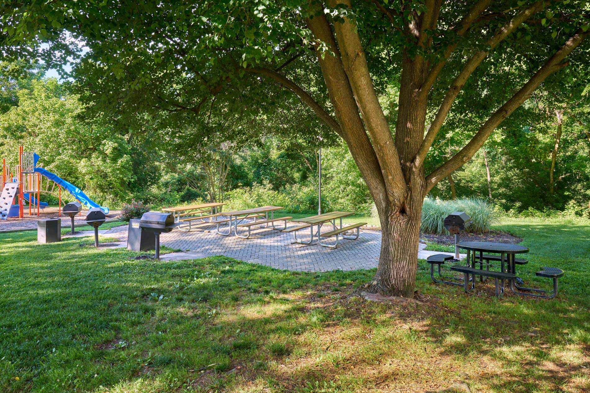 Seneca Place Apartments Grill Area