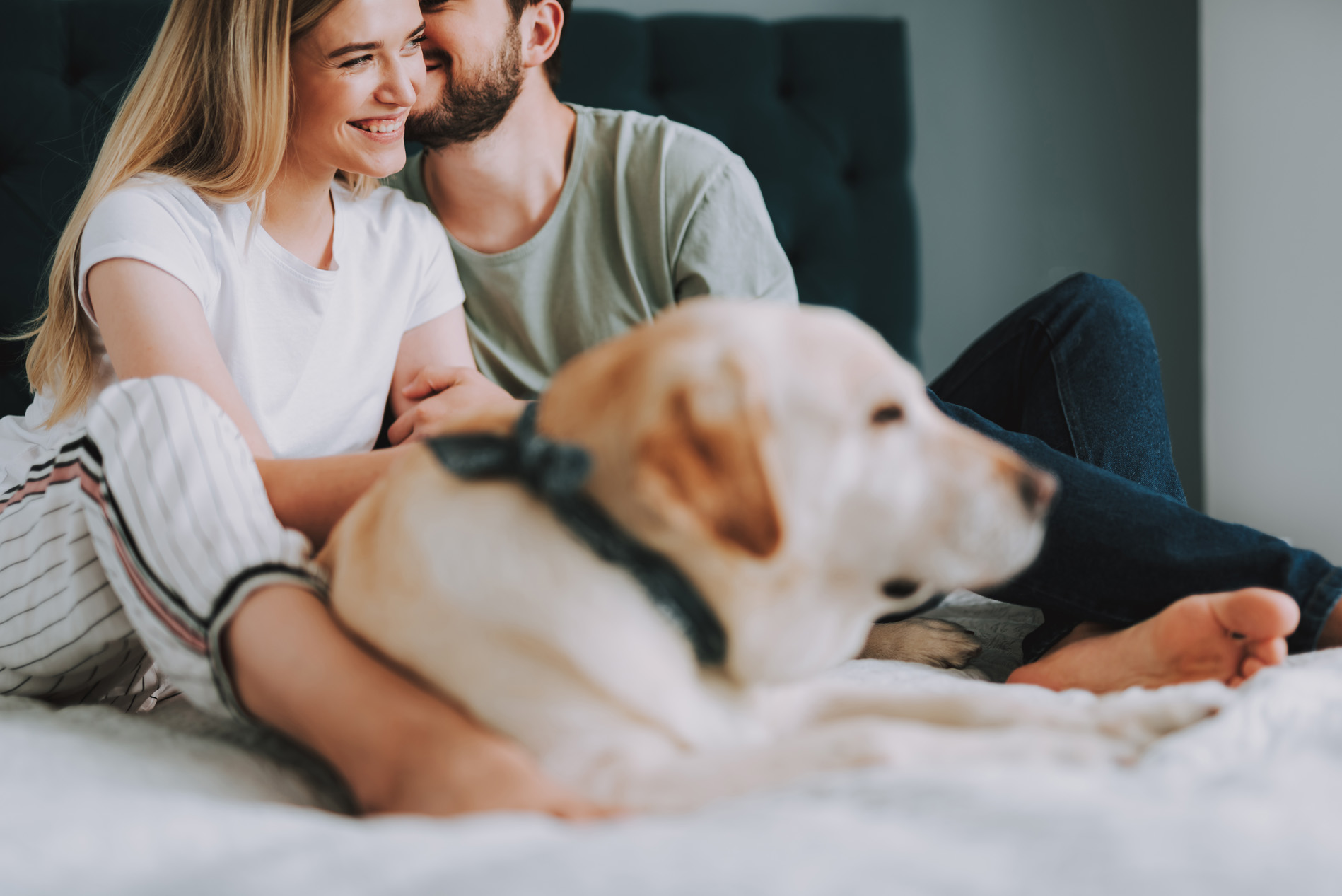 Couple sitting with dog