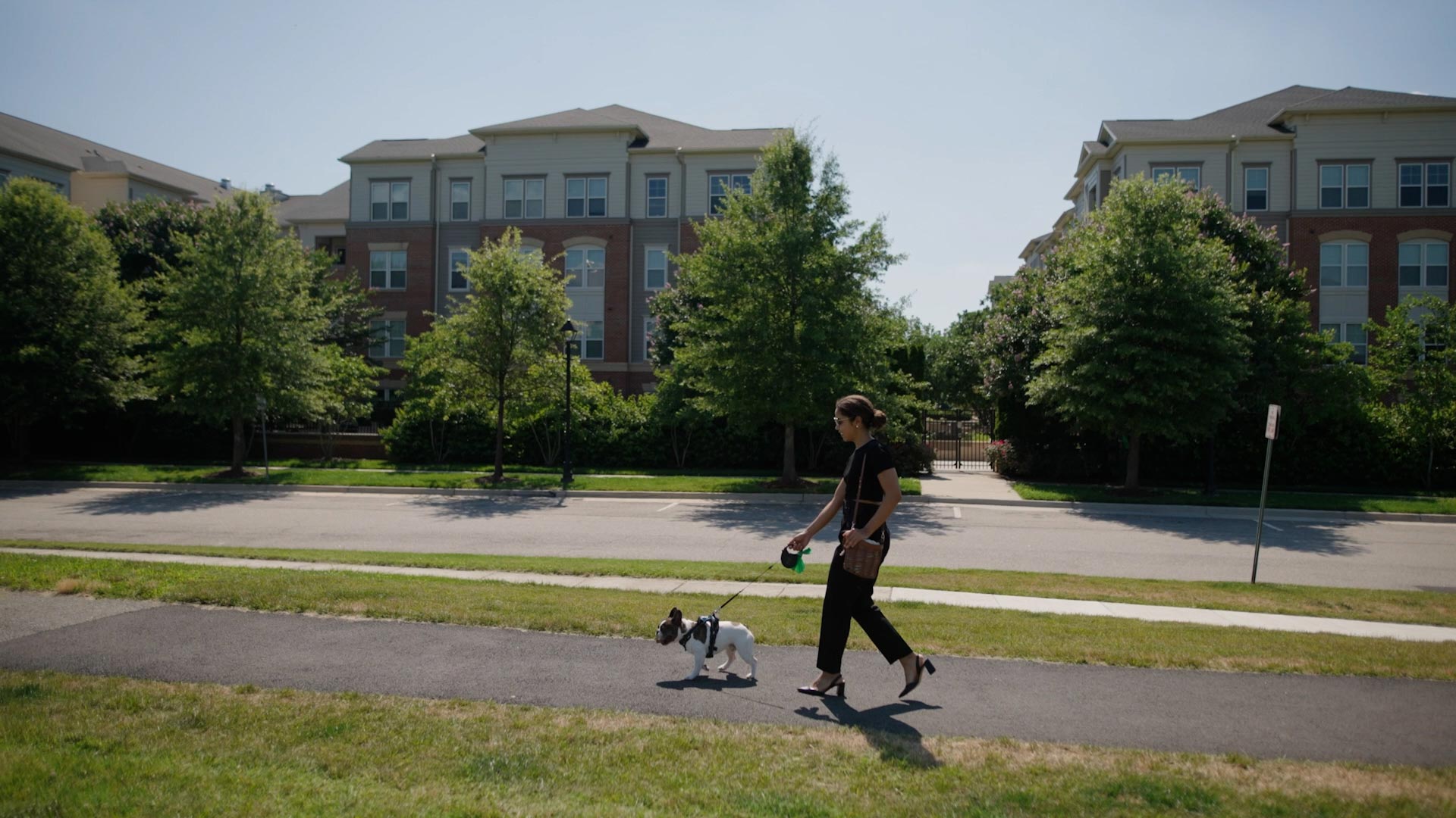 Courts at Huntington Station woman walks dog by property