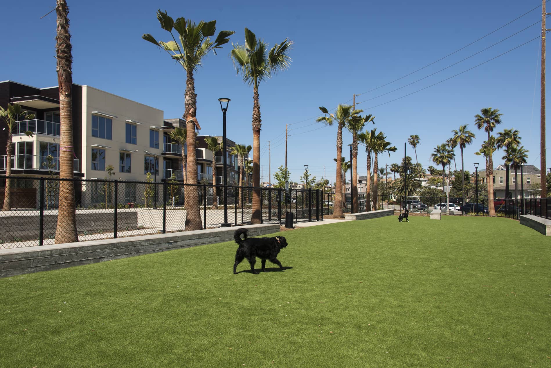 The Residences at Pacific City Dog Park