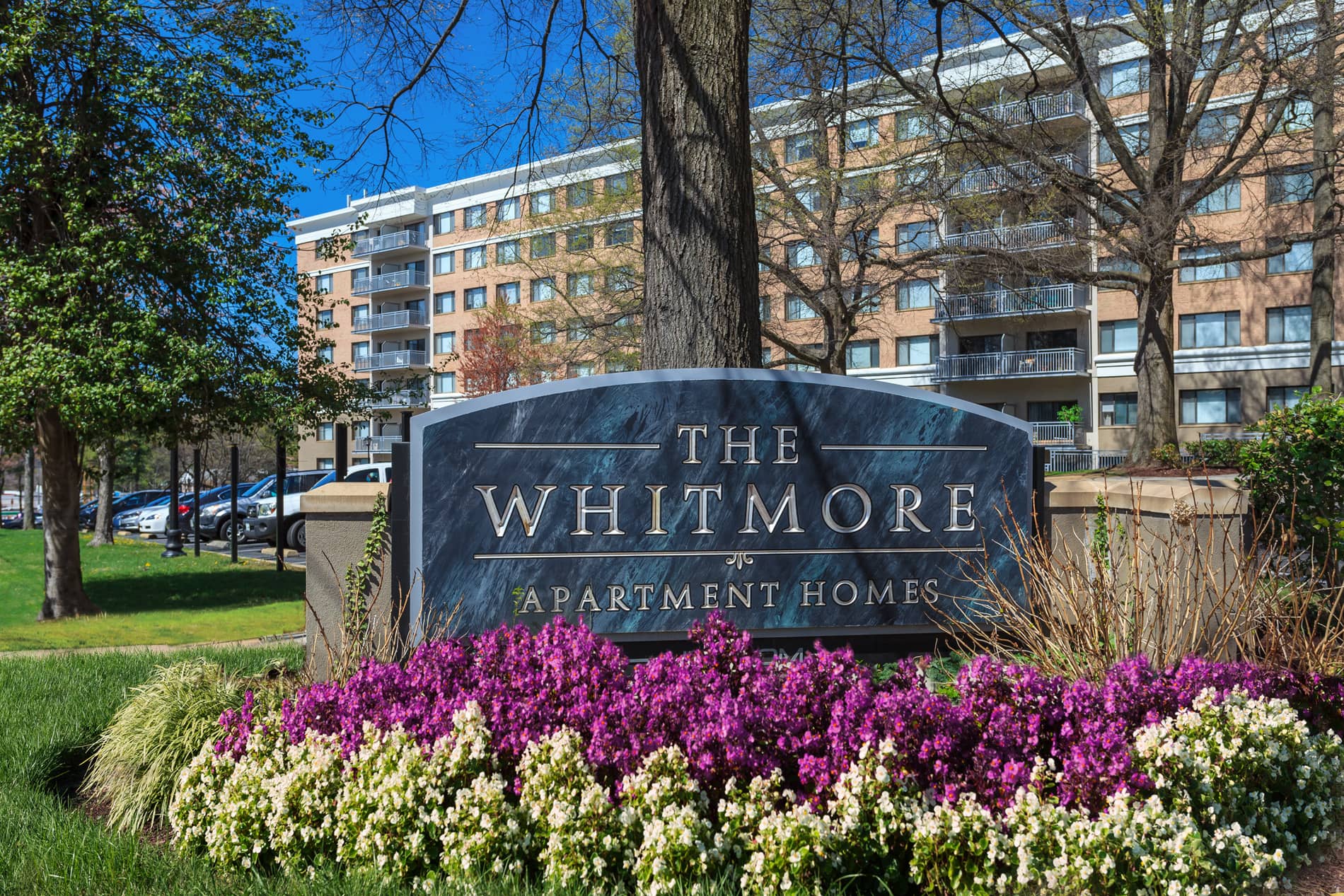 The Whitmore Sign