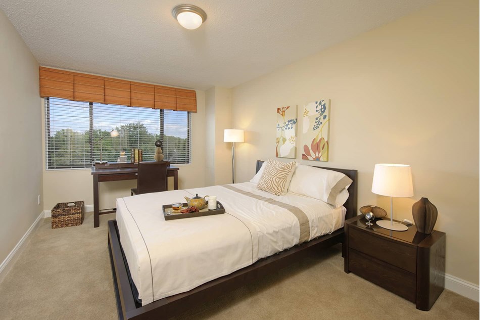 Photos and Tours of The Whitmore Arlington VA