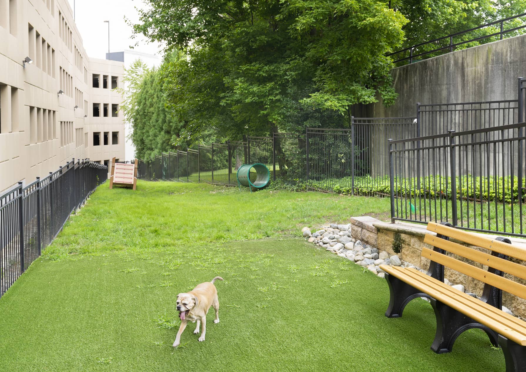 Towson Promenade Dog Park