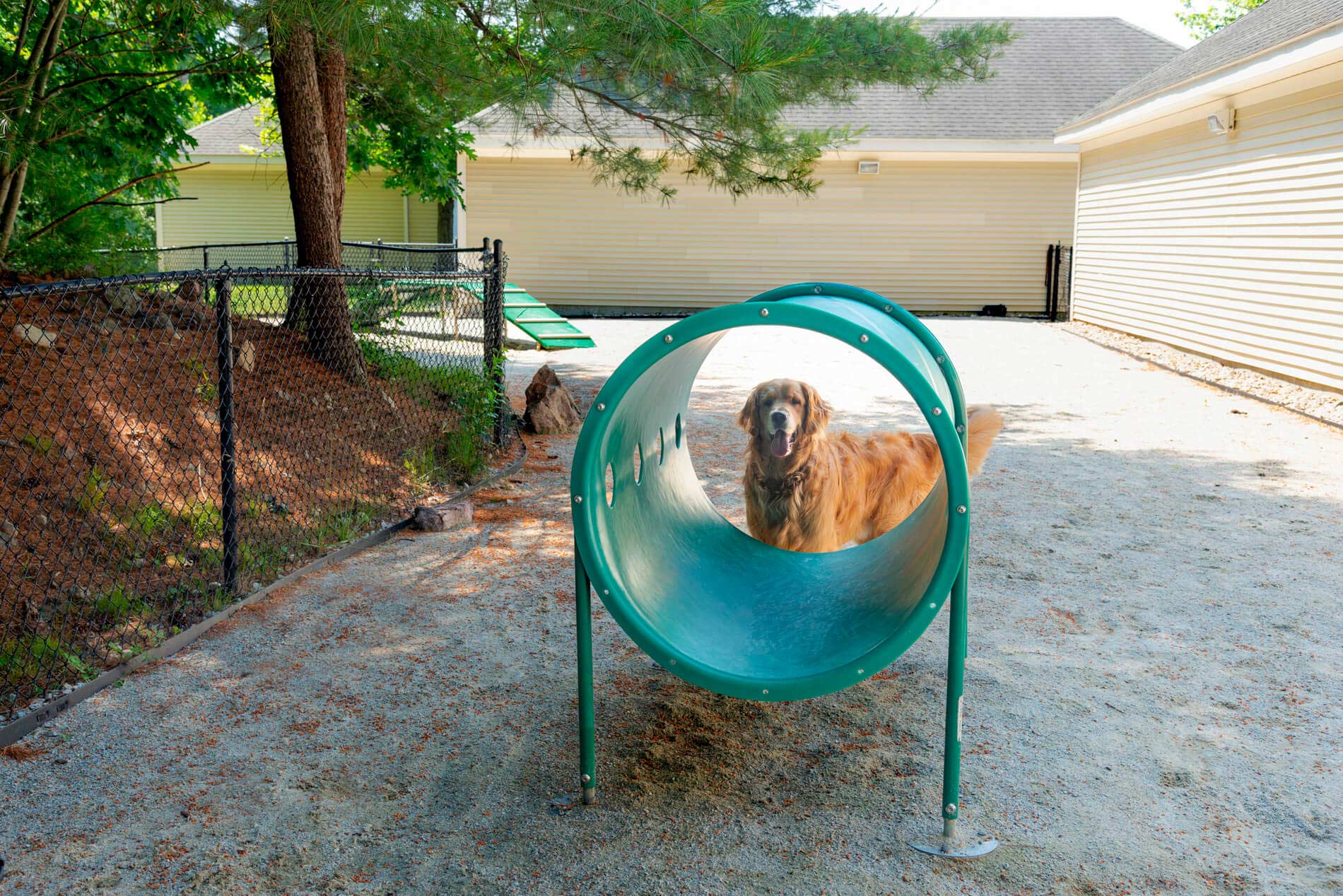 Union Place Dog park