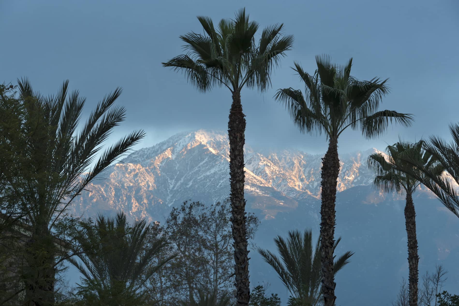 Verano at Rancho Cucamonga Town Square View