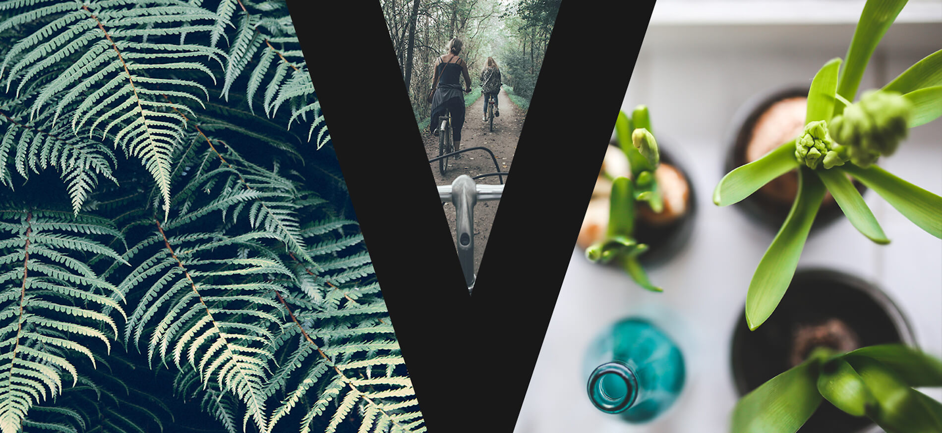 Verve collage with plants and people biking on wooded path