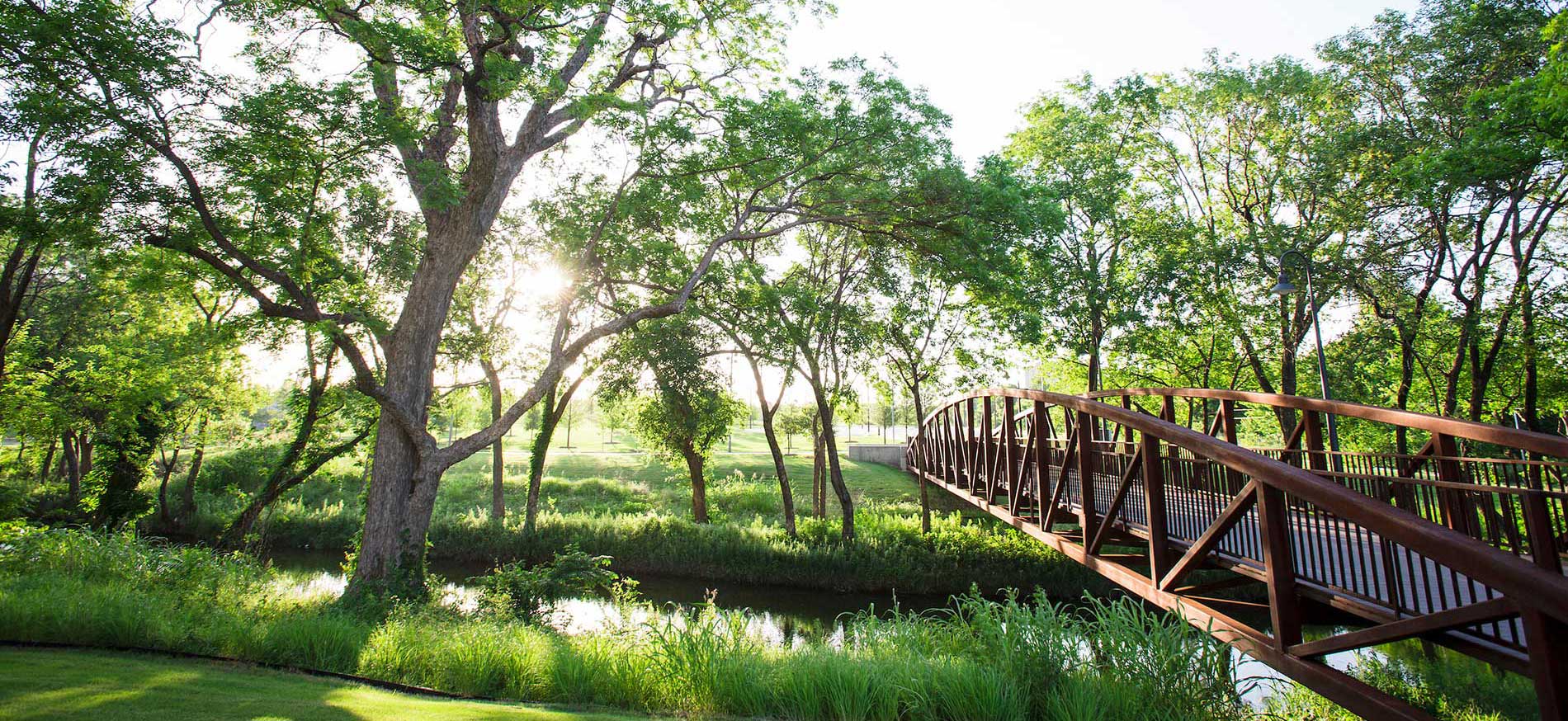 Vitruvian Park bridge with trees and sunlight