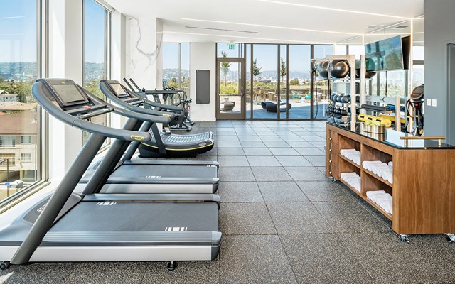Vision on Wilshire Apartments Fitness Center