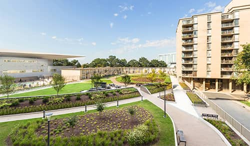 Waterside Towers Landscape