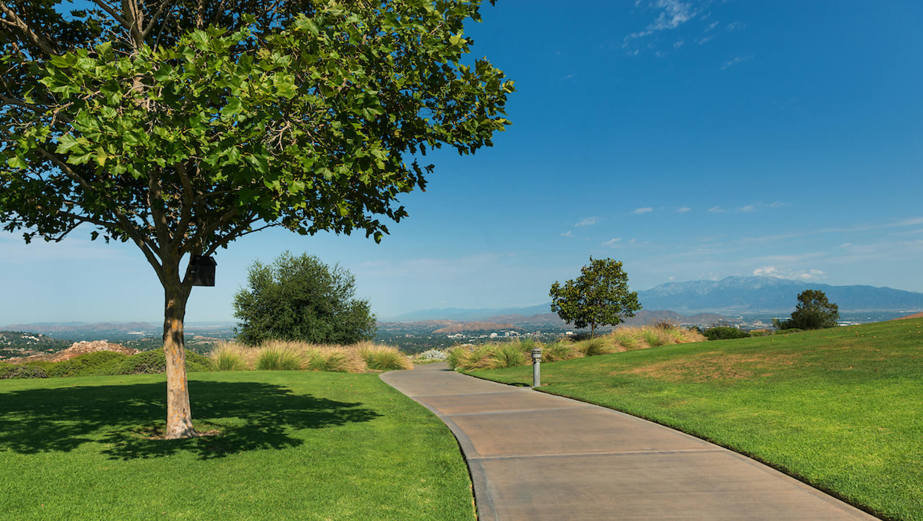 Hiking Trails and Mountain Views