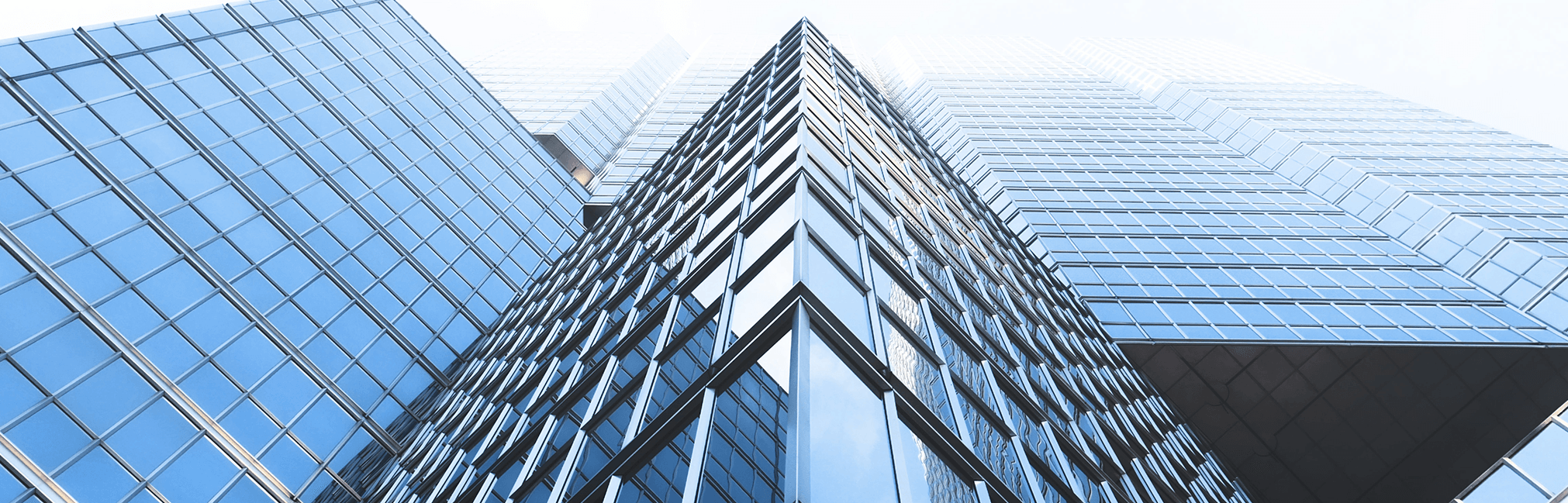 Corporate Governance