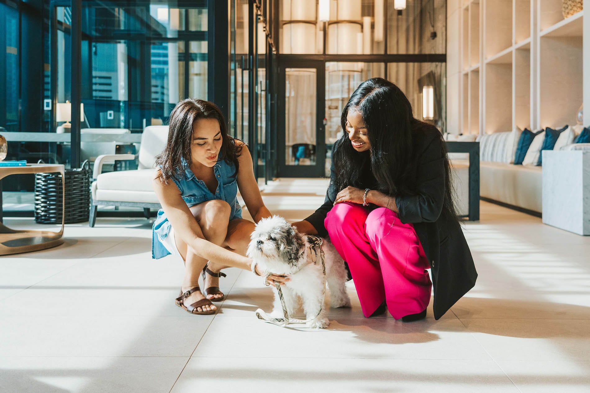 Pets 101NMeridian 2025 LBY 55 ILC min