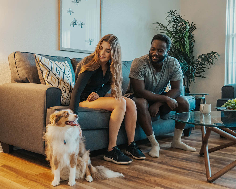 Pets FAQ Hero Image