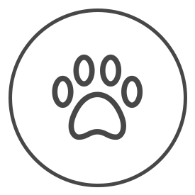 Pets