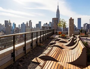 About The Area New York City Community Spotlight View 34