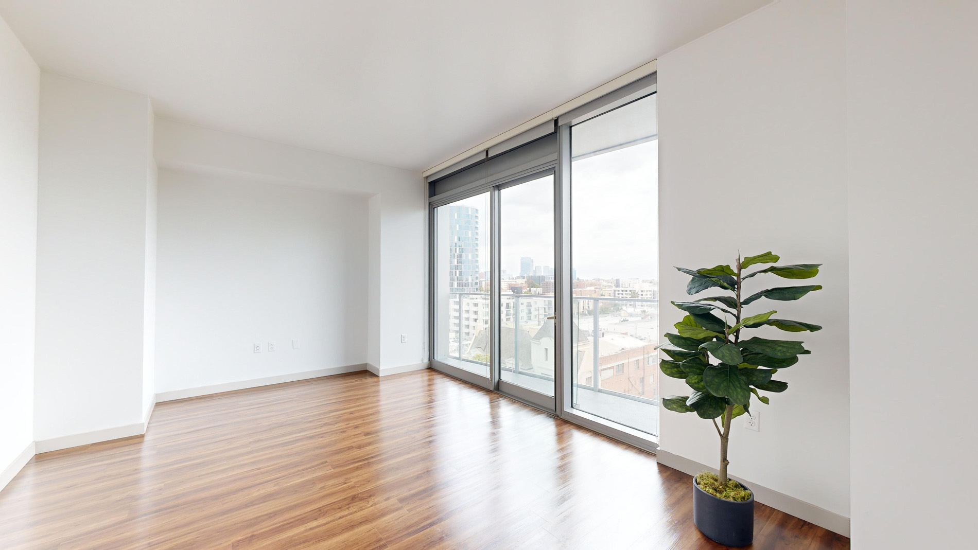 3033 Wilshire 2 of 5