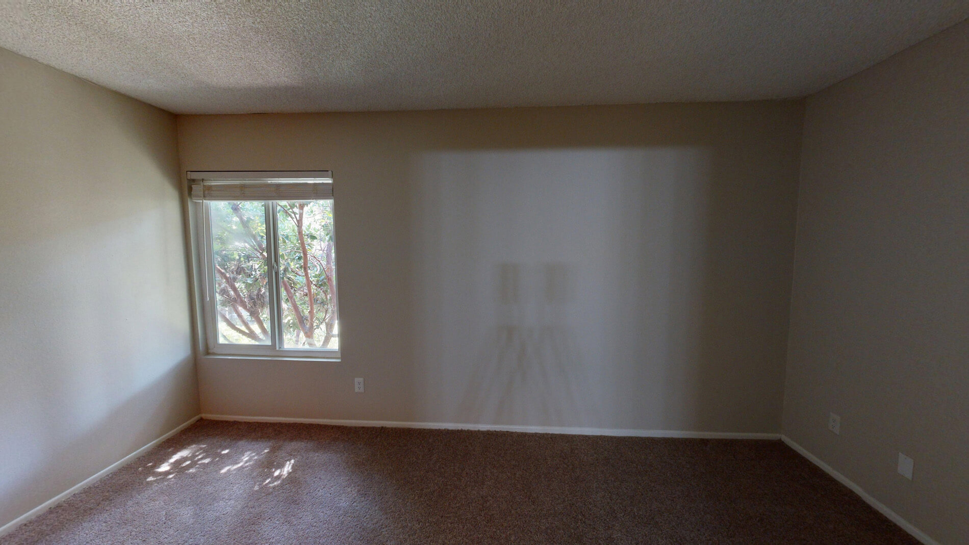 27 Seventy Five Mesa Verde 3 of 5