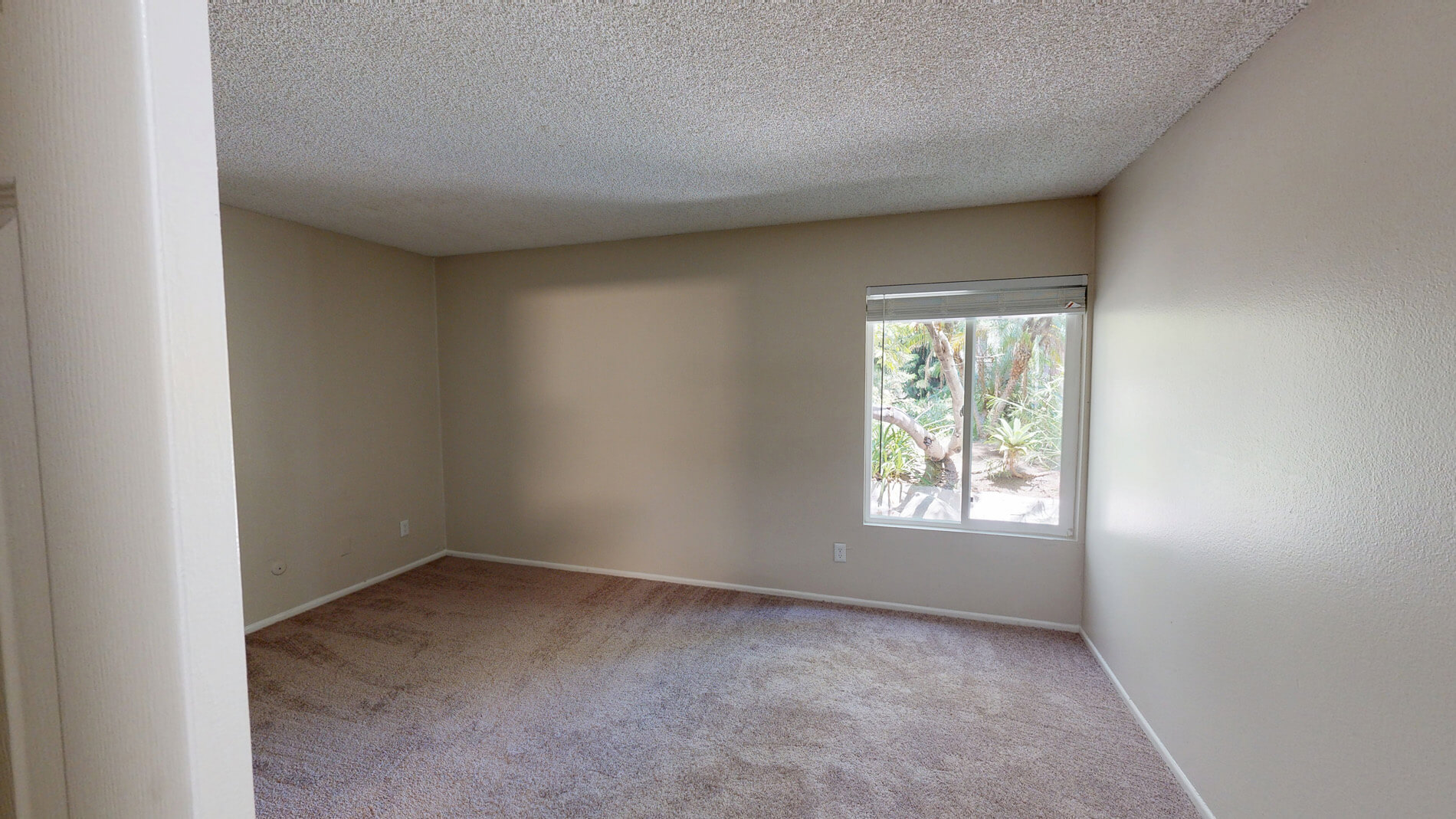27 Seventy Five Mesa Verde 4 of 5