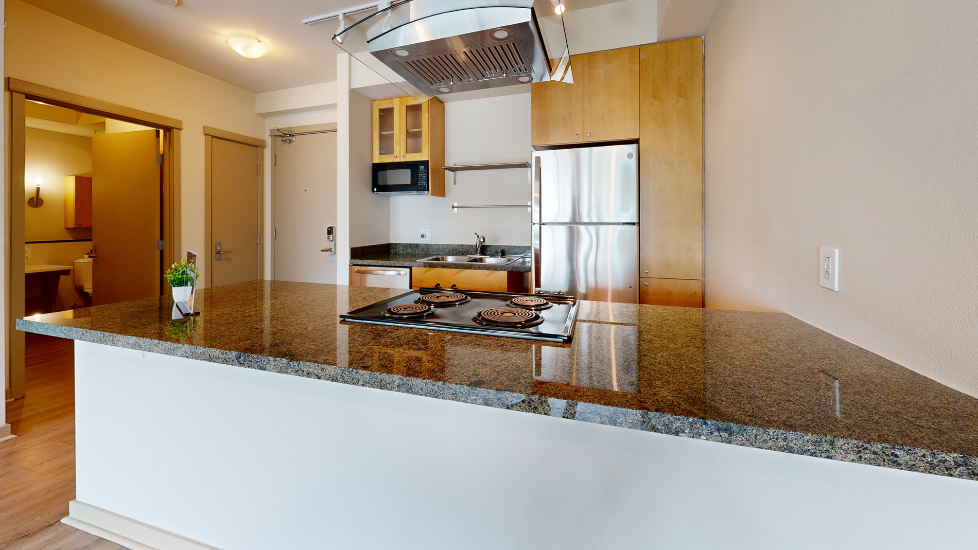 Elements Apartments 1 of 4