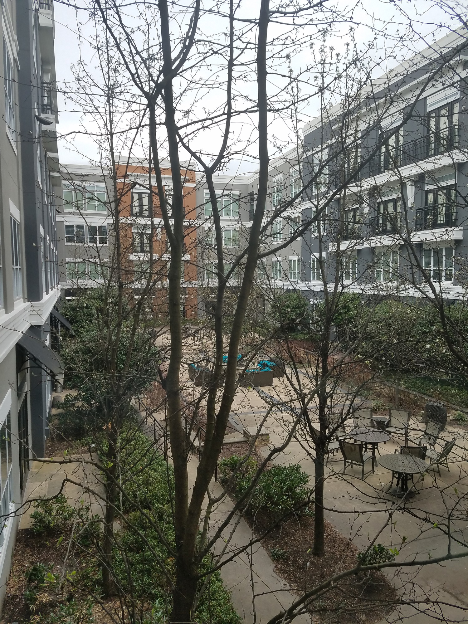 chaplet garden apt on Apartments And Pricing For Towson Promenade Baltimore